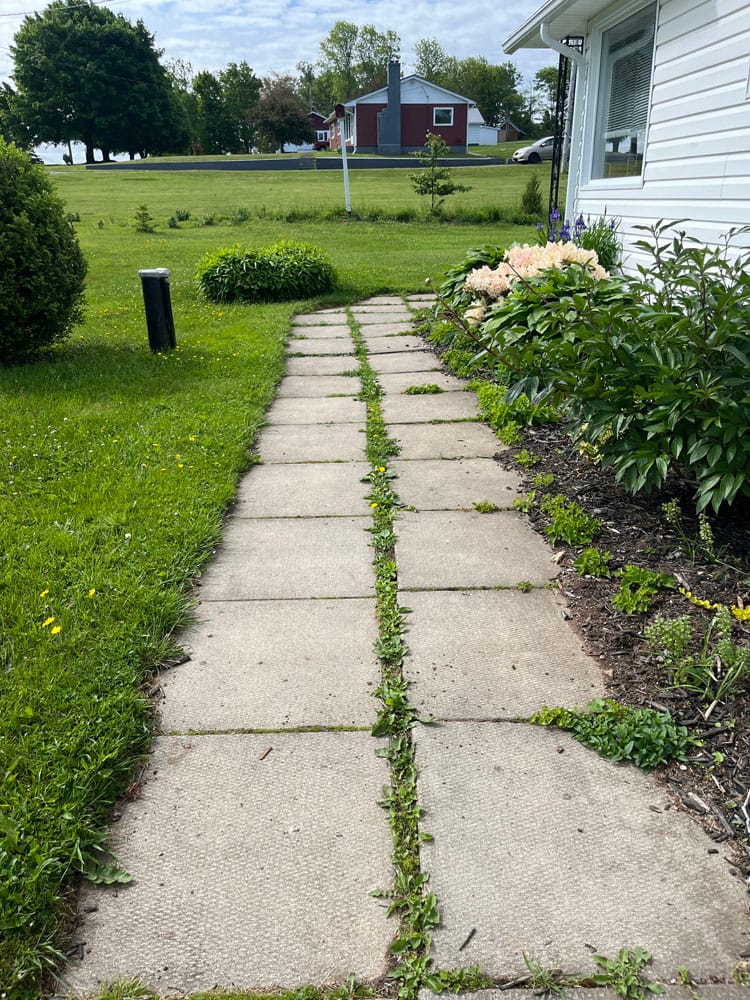 WalkwayBefore WalkwayBefore
