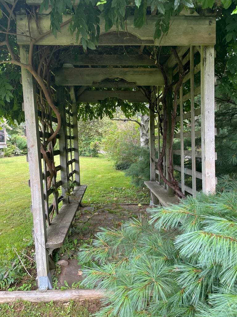 Before Photo of Purgola Garden Before Photo of Purgola Garden